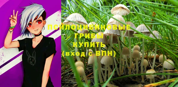2c-b Белоозёрский