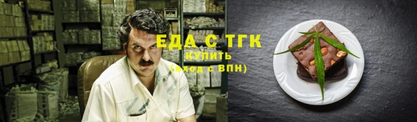гидра Богородицк